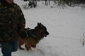 
IMG_0223_resize.JPG							