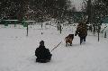 
IMG_0226_resize.JPG							