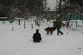 
IMG_0227_resize.JPG							