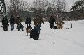 
IMG_0233_resize.JPG							