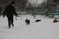 
IMG_0234_resize.JPG							