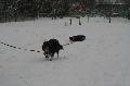
IMG_0236_resize.JPG							