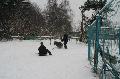 
IMG_0241_resize.JPG							