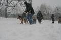 
IMG_0245_resize.JPG							