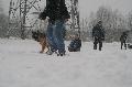 
IMG_0246_resize.JPG							