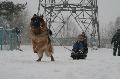 
IMG_0248_resize.JPG							