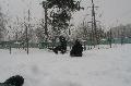 
IMG_0254_resize.JPG							