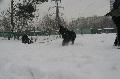 
IMG_0255_resize.JPG							