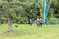 
051.JPG							
