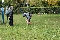
069.JPG							