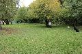 
065.JPG							