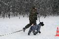 
IMG_0632_resize.jpg							