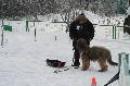 
IMG_0633_resize.jpg							