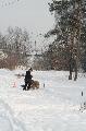 
IMG_0637_resize.jpg							