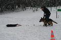 
IMG_0642_resize.jpg							