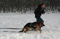
IMG_0648_resize.jpg							