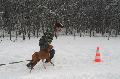 
IMG_0657_resize.jpg							