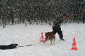 
IMG_0658_resize.jpg							