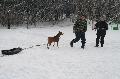 
IMG_0662_resize.jpg							