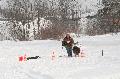 
IMG_0673_resize.jpg							