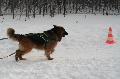 
IMG_0681_resize.jpg							