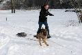 
IMG_1017.jpg							
