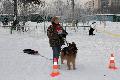 
IMG_1040.jpg							