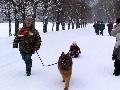 
PICT0053.JPG							