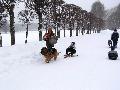 
PICT0061.JPG							
