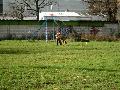 
030.JPG							