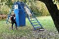 
070.JPG							