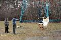 
035.JPG							