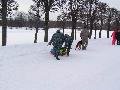 
009.JPG							