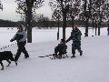 
042.JPG							