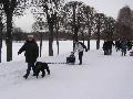 
045.JPG							