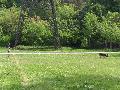 
048.JPG							