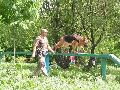 
051.JPG							