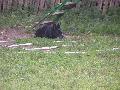 
047.JPG							