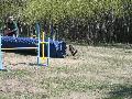 
022.JPG							
