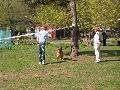 
051.JPG							