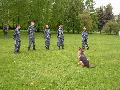 
010.JPG							