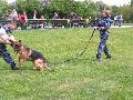 
033.JPG							