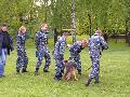 
046.JPG							