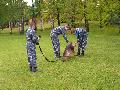 
063.JPG							