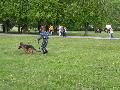 
065.JPG							