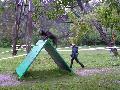 
039.JPG							