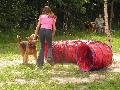 
045.JPG							