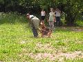 
064.JPG							