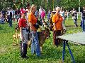 
051.JPG							