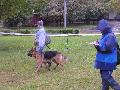 
045.JPG							
